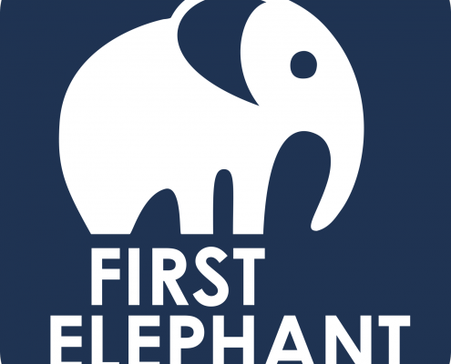 First Elephant Self Storage Logo